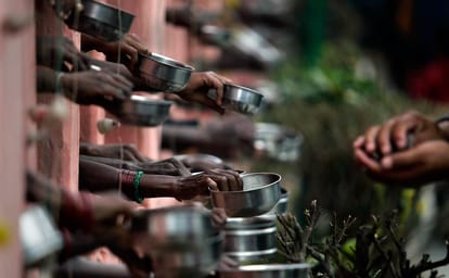 Nainital HC verdict about DNA test for beggars and children living with them