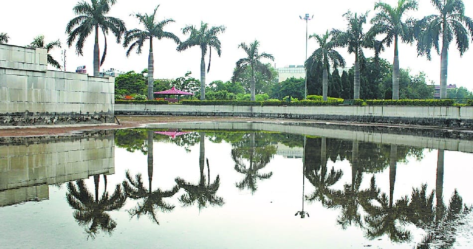 dengue, health deptt, health minister, panchkula fish deptt, panchkula nagar nigam, panchkula
