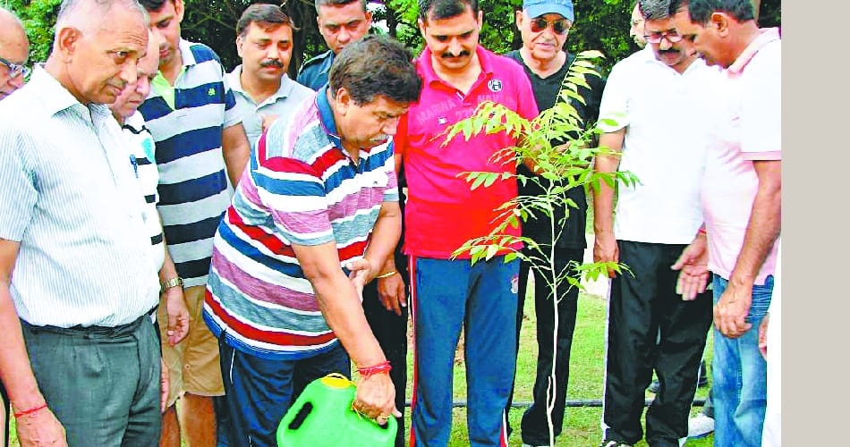  Panchkula, plantation festival, mla, mla gyanchand gupta plant a tree in  panchkula 