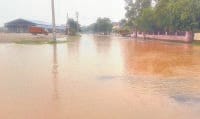 In Narnaul, Narnaul News, Anajmandi in water, water overflow in anajmandi