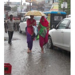 weather, rained, jhajjar