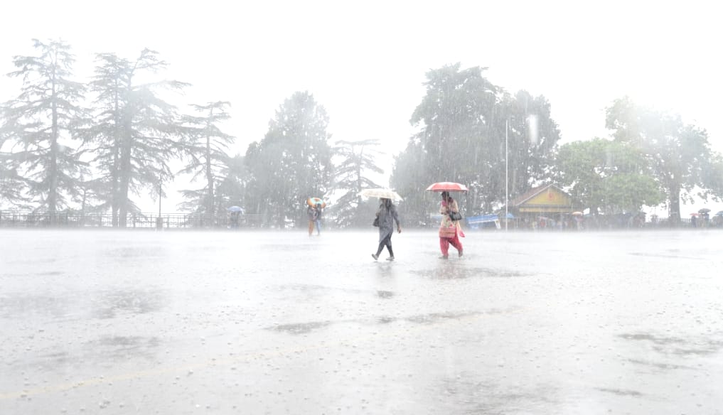 After the rain increased the risk of diseases