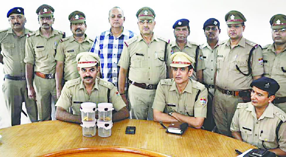  Million gold recovered 