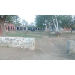 scientist, seat, farmer, hisar