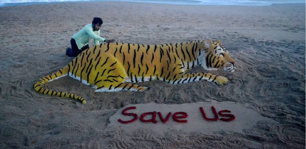 World Tiger Day: Only 1700 Tiger are alive in India