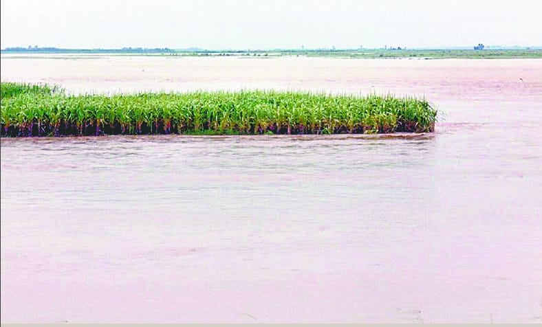 danger : again increase water level ganga and malan