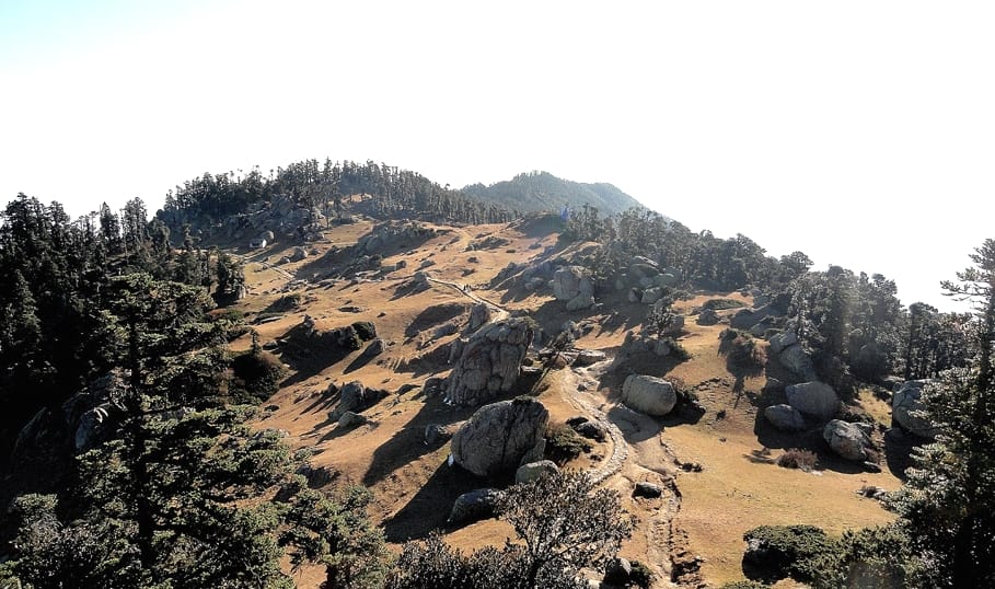Four people, including the missing girl, were safely rescued in the forests of Churdhar