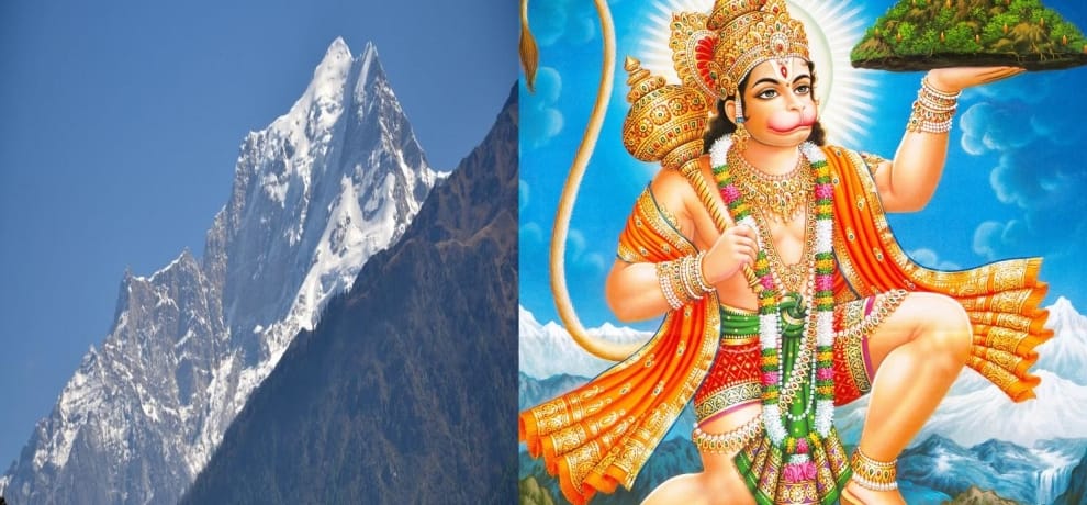 uttarakhand government searching sanjeevni booti.