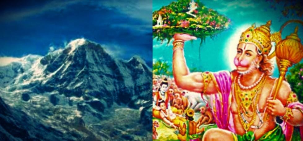 uttarakhand government searching sanjeevni booti.