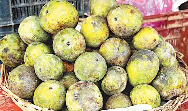 amrohavi mango