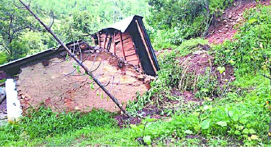 The disaster affected Lmcula