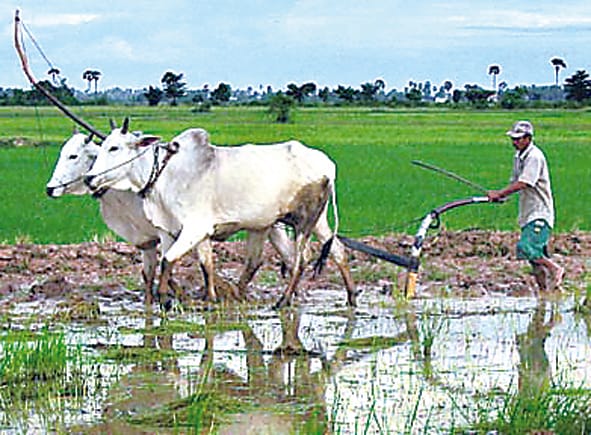 Farmers outrage