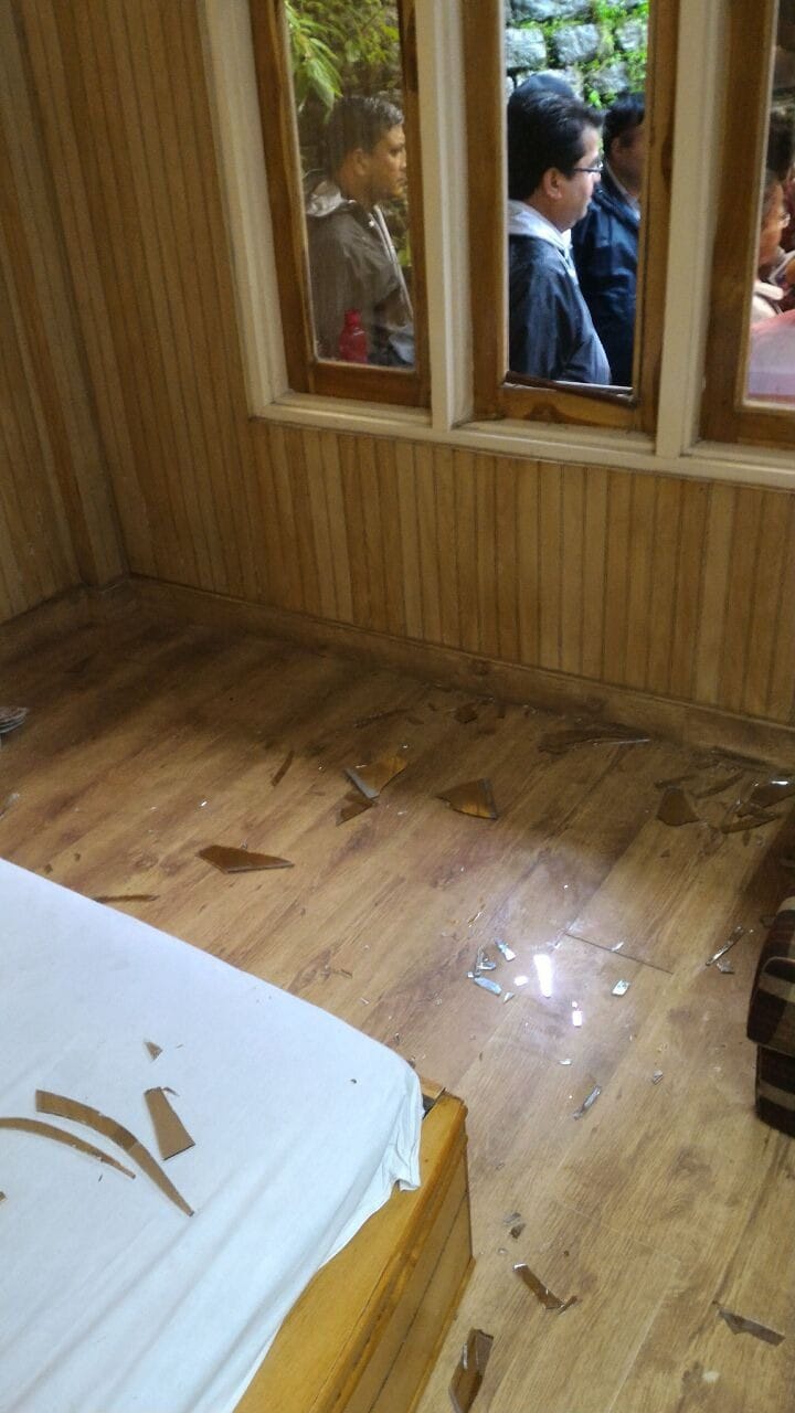 leopard enter honeymoon couple room