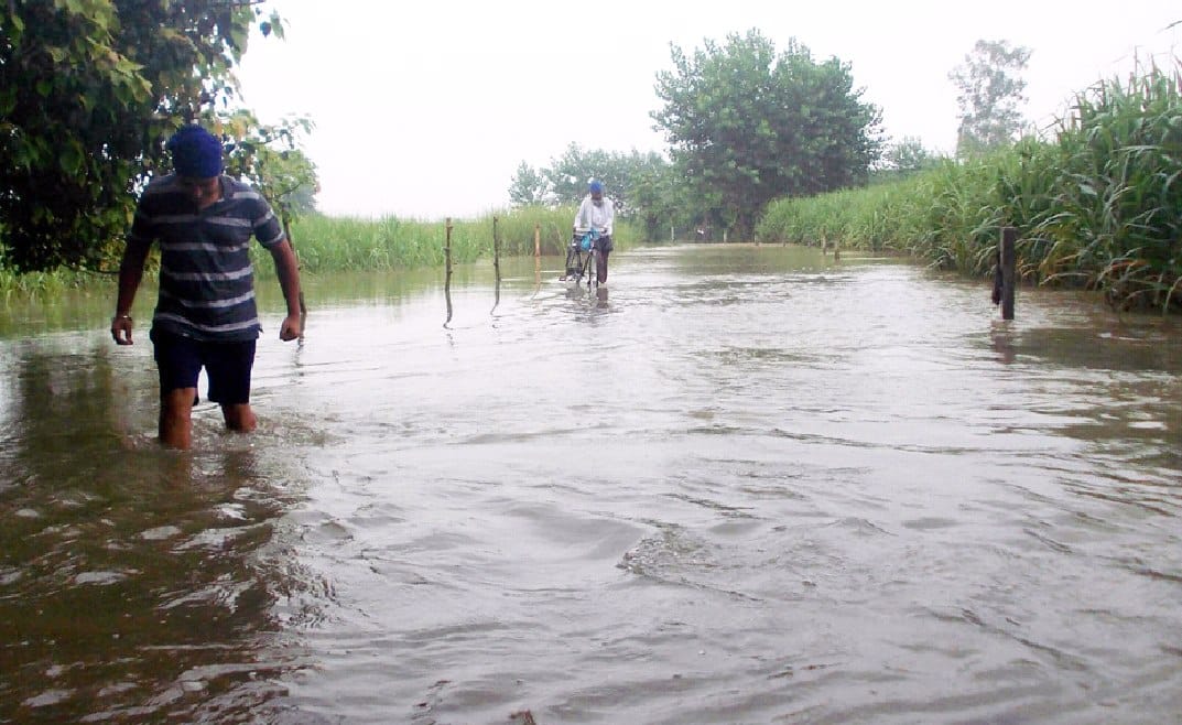 Sharda friend's boom and submerged area