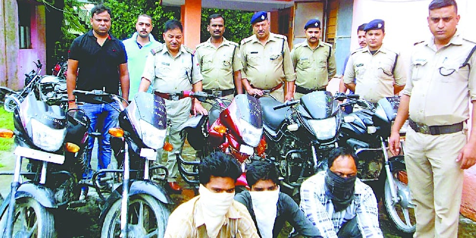 Bike thief picked by police