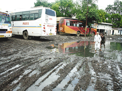 Private bus into swamp