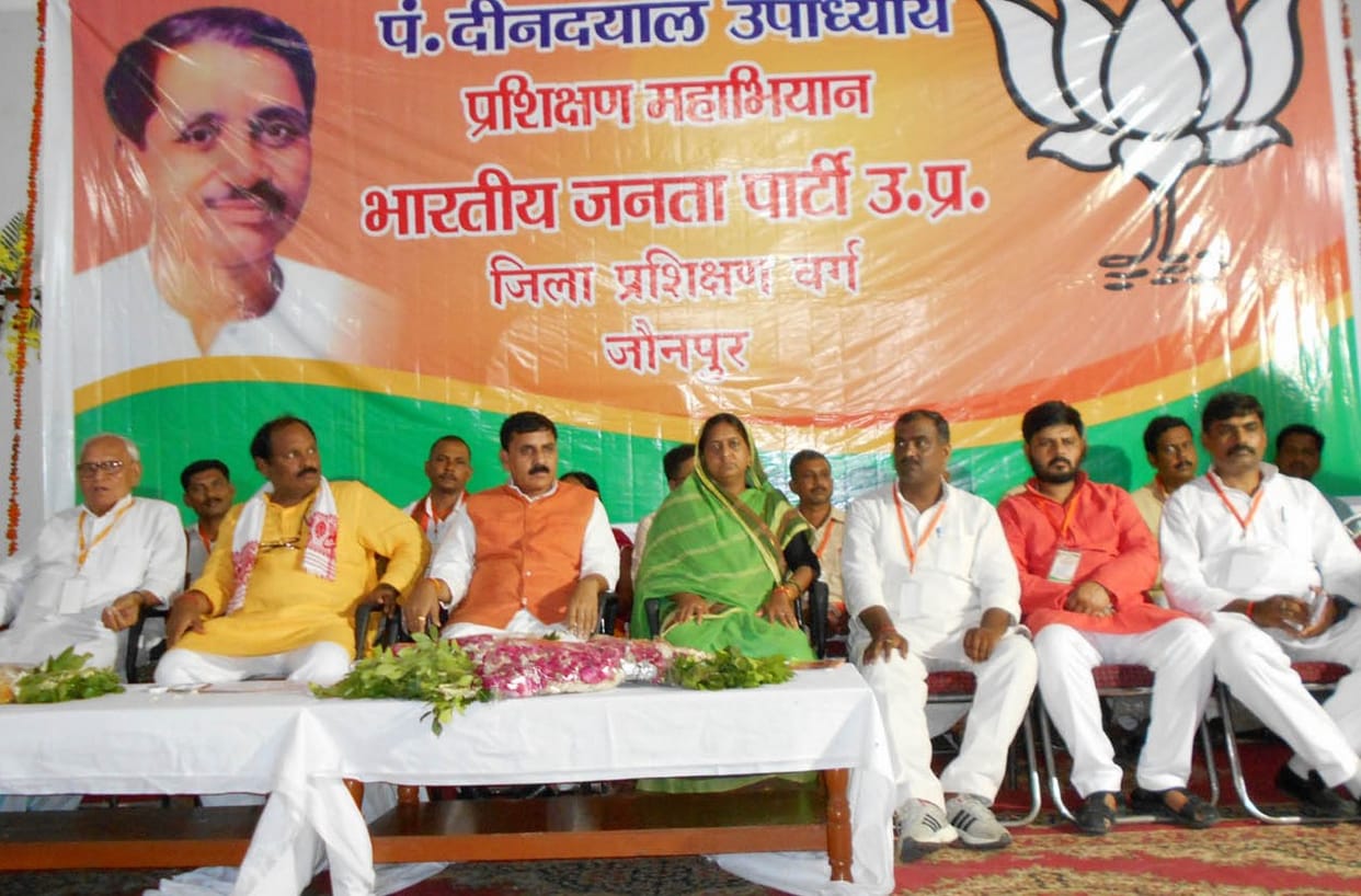 The majority come from the BJP in UP