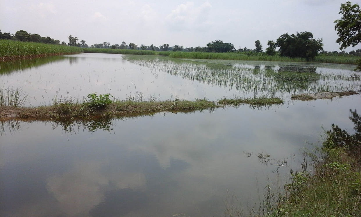 rgulators gate broke, water in fields