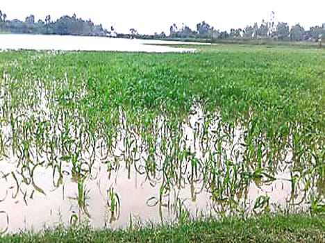 Ganga came to the warning point