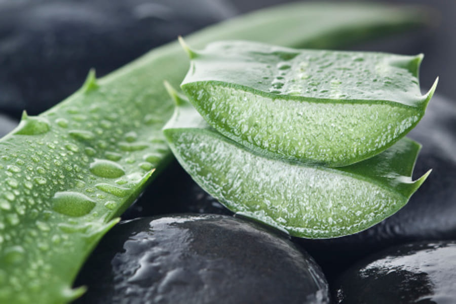 BENEFITS OF ALOE VERA GEL