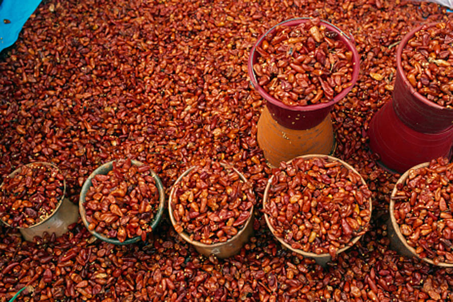 benefits of red chilies