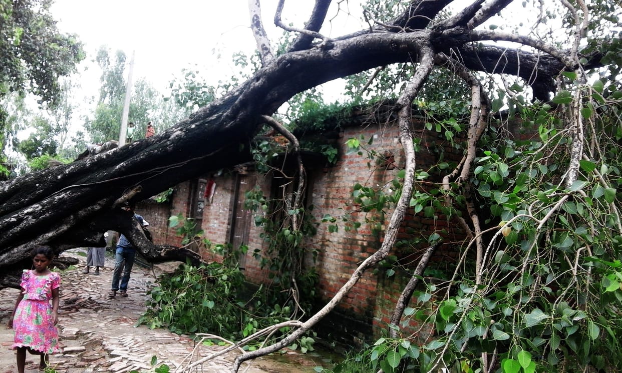 House family narrowly escapes falling tree