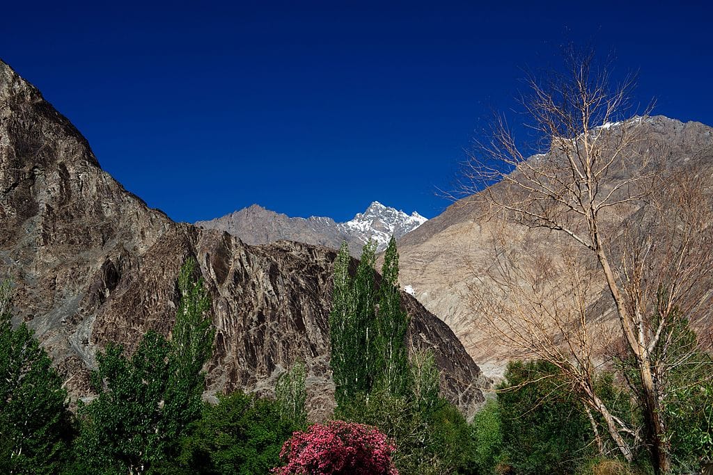 Nubra Valley open for foreign tourists