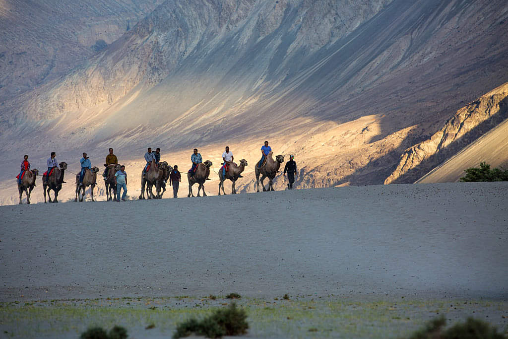 nubra valley ladakh beautiful tourist places to visit explore during summer season