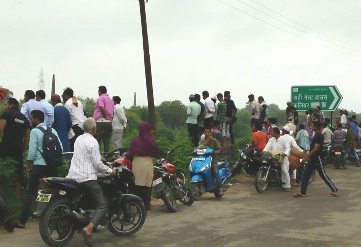 Three crocodiles appeared in Gangnahar