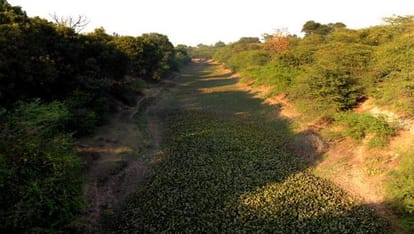 sutlej yamuna link canal controversy in punjab and haryana, review report