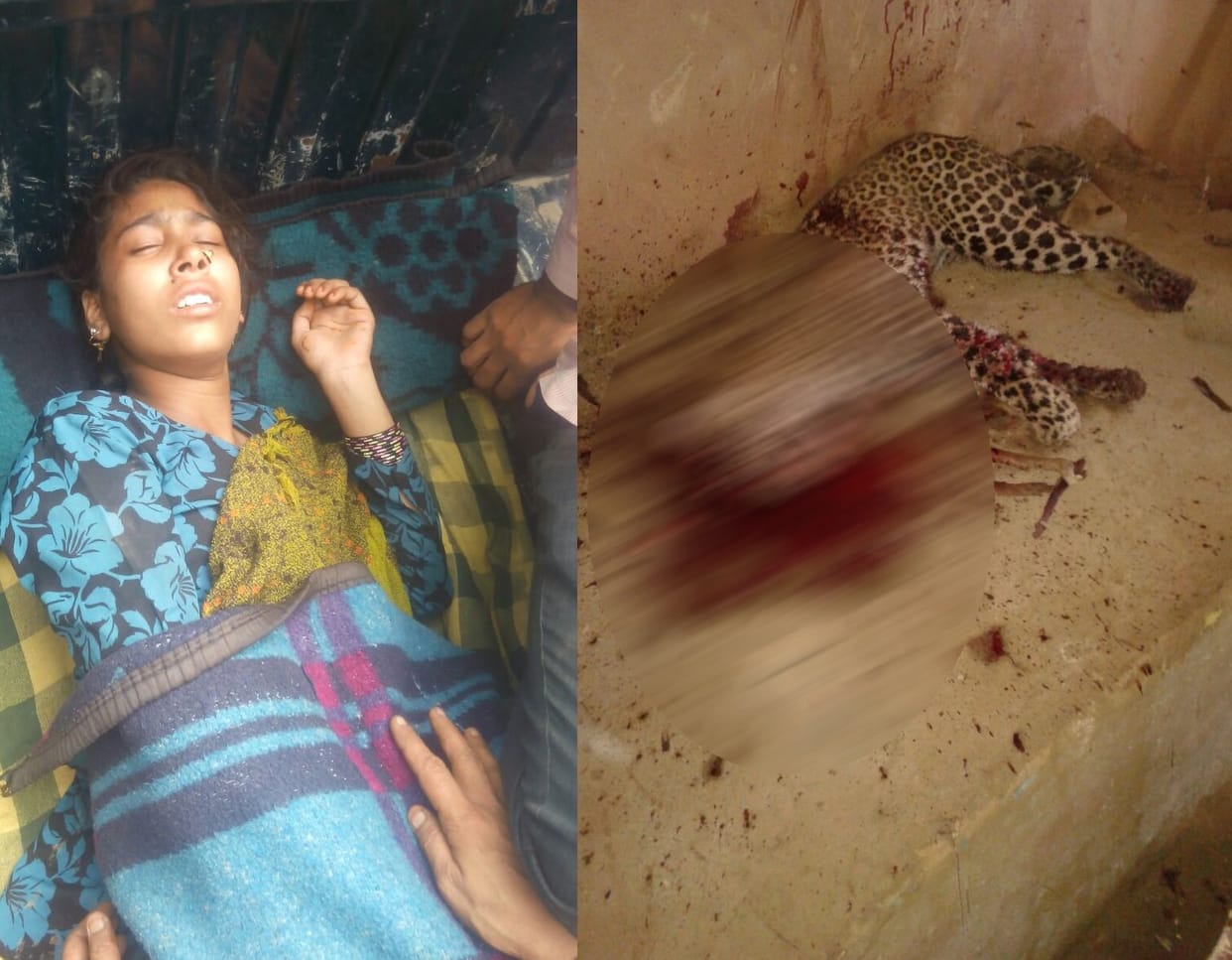 woman fight to leopard to save her child.