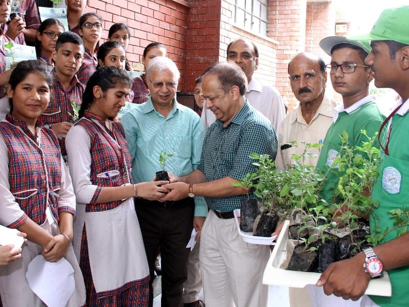  DAV Public School, the program distributed basil plants, basil children distributed plants, Patiala