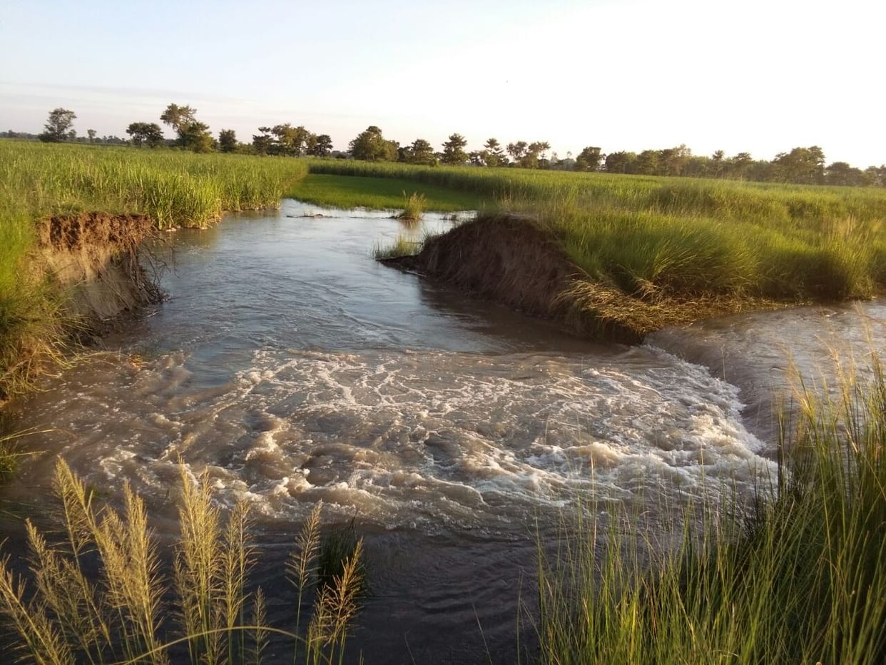 Hundreds of acres of crops submerged canal cuts