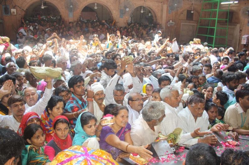 hariyali amavasya cellibration in bankebihari temple