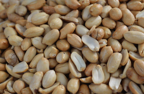 peanuts and sugar is nor purely vegetarian