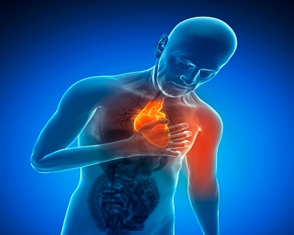 North Korea Kim Jong Un News Today know about cardiovascular disease symptoms cause and treatment