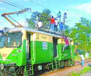 Tree fell on rail track