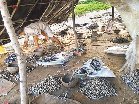 Police raids, 90 kg explosives found
