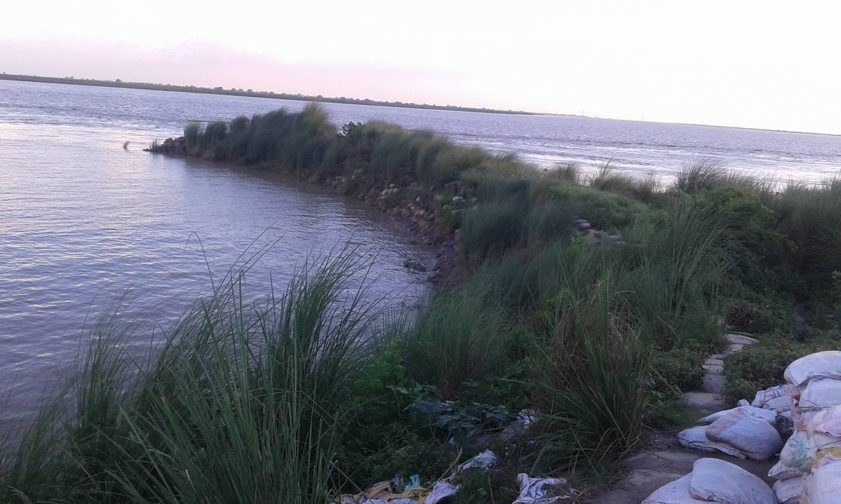 Ganga close to danger line