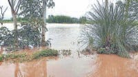 yamunanagar, yamuna; som, river, flood,village,efect