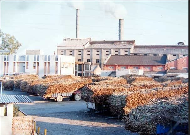 Nadehi sugar mill topped in Sugar production