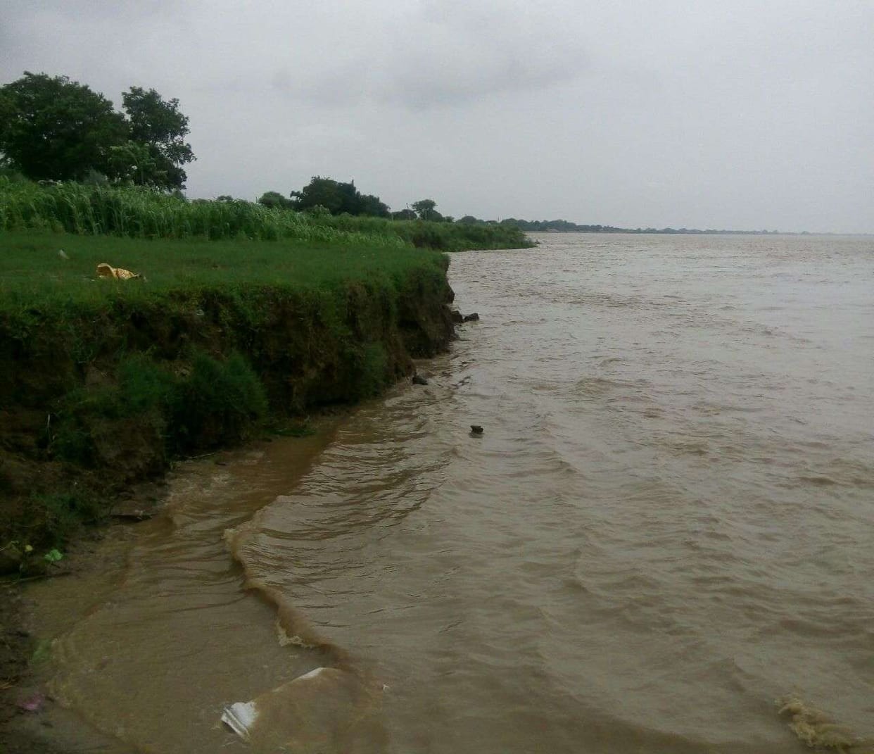 62040 cusec water discharged in Ganges river