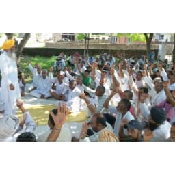 yamunanagar, crop, insorence, farmer, bku
