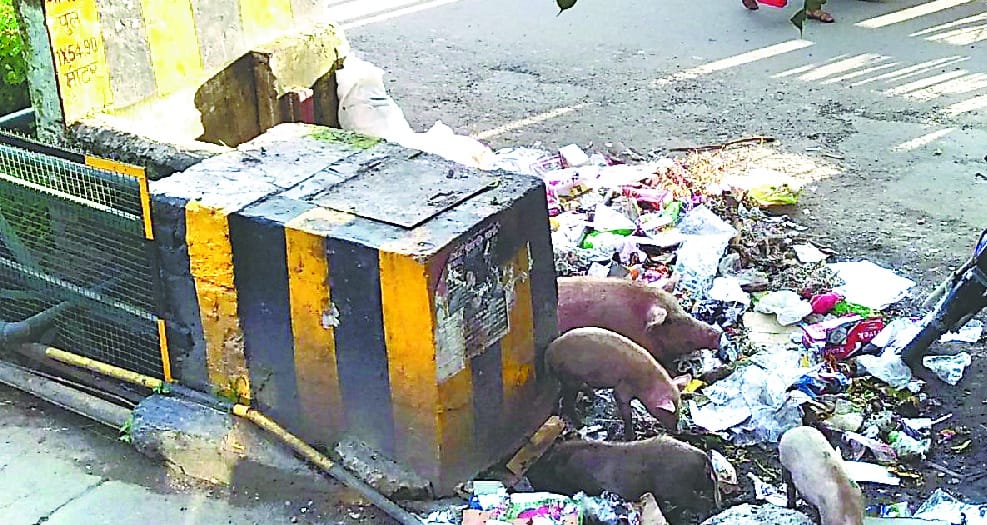 DM for draining cleanliness of Bhagirathi