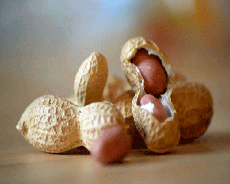 Benefits Of Ground Nut Amar Ujala Hindi News Live रोज खाइए मूंगफली, सेक्स लाइफ रहेगी सेहतमंद