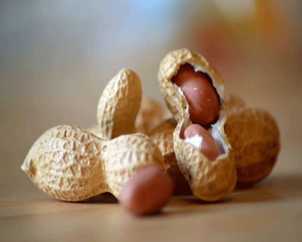 Benefits Of Ground Nut