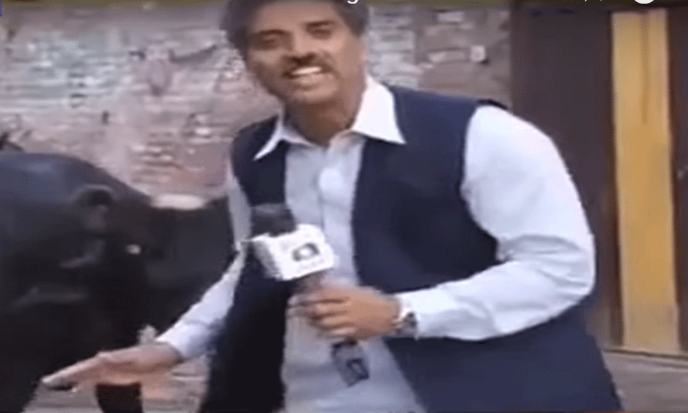 A Pakistani Journalist Interviewed A Buffalo 
