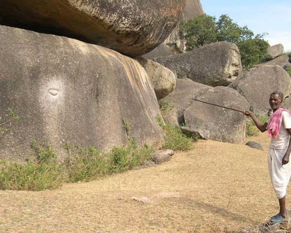 This hill tell the sex of children