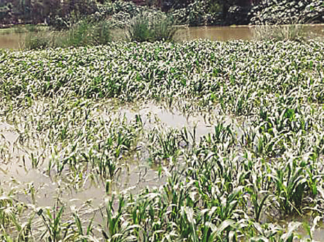 Grra flooding three villages and surrounded