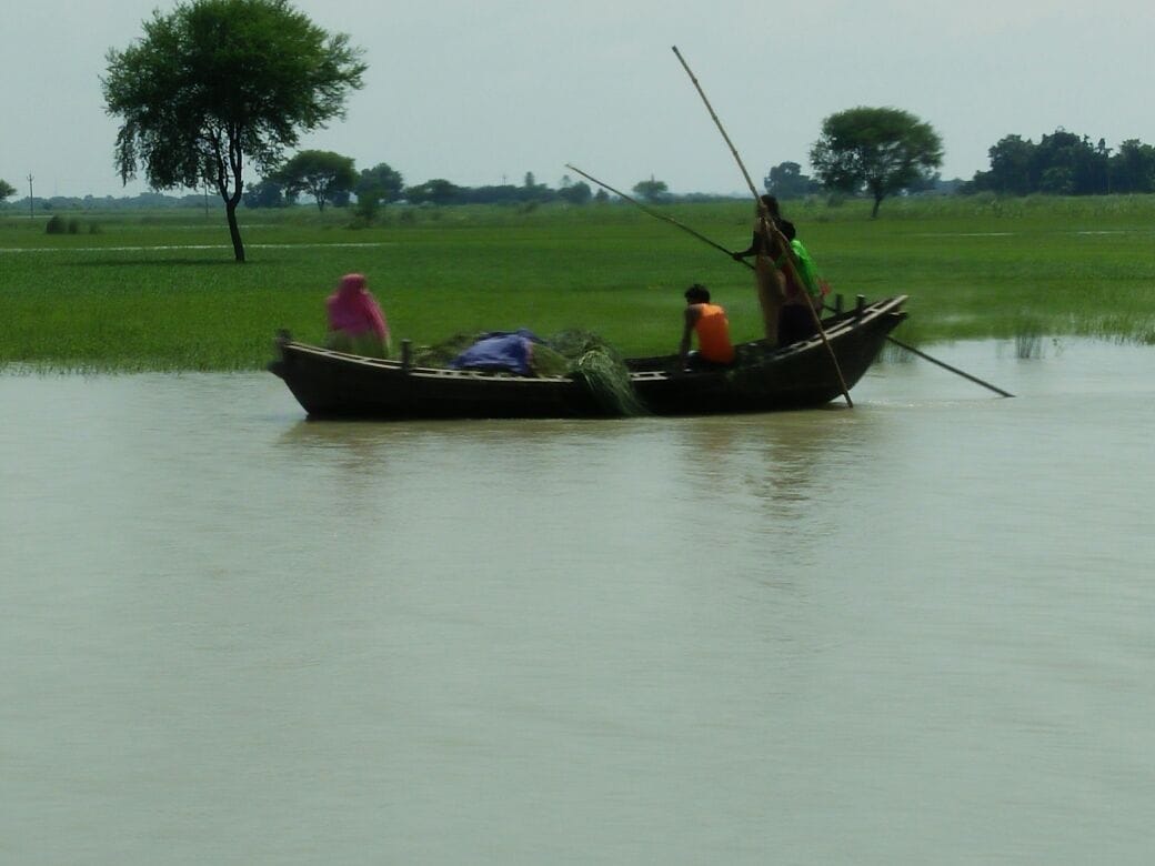 Fodder crisis deepens in flood-prone areas